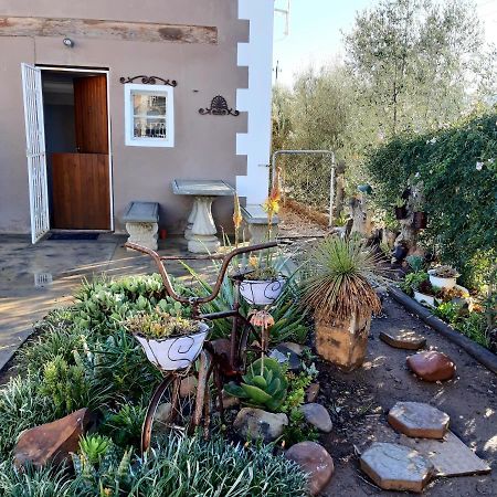 Carmel Villa B&B Or Self-Catering Calvinia Eksteriør billede